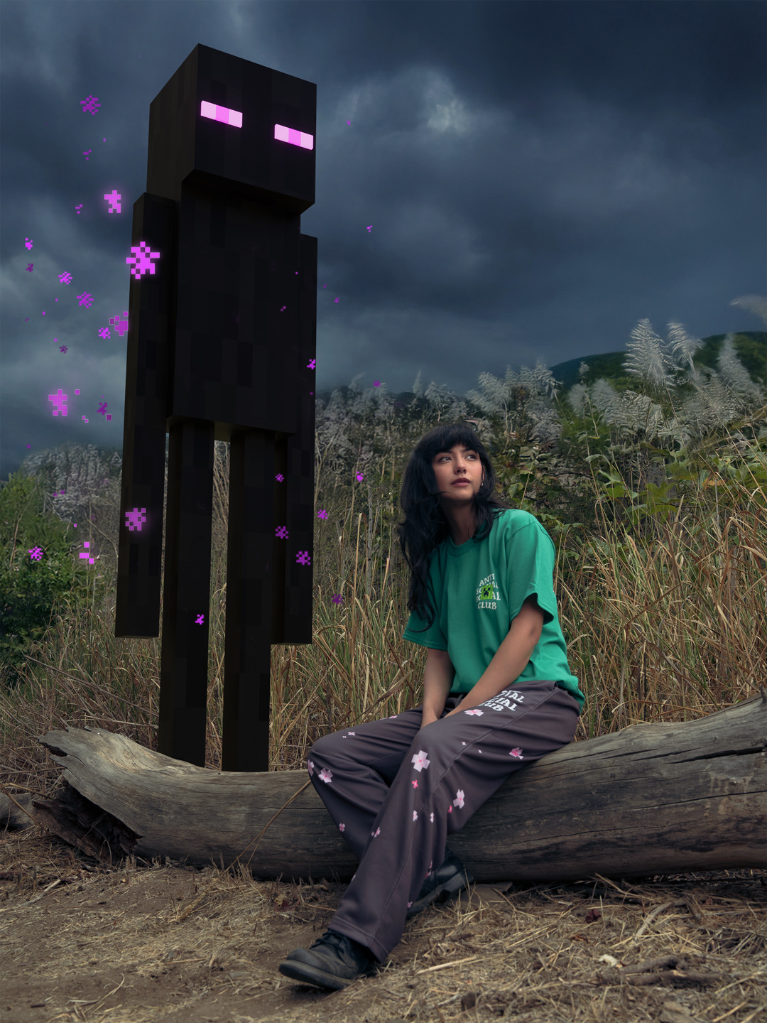 Minecraft x ASSC apparel