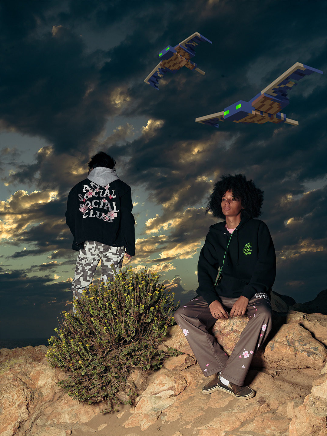 Minecraft x ASSC apparel